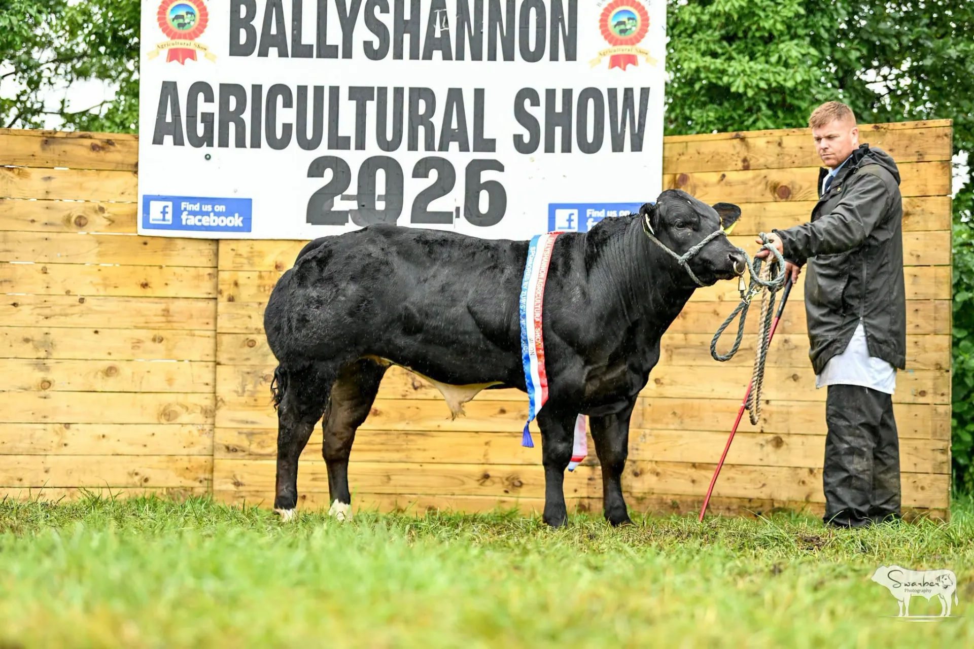Champions at Ballyshannon Show!