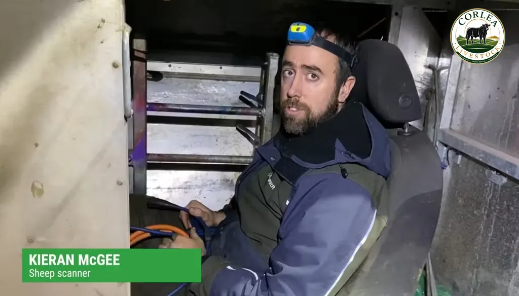 Meet Kieran McGee – The Driving Force Behind Corlea Livestock